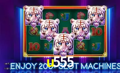 Weekend Specials u555