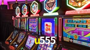 Interface Premium u555